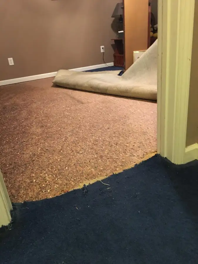 Carpet pad removal revealing water damage during Water Mitigation Services in Lake in the Hills