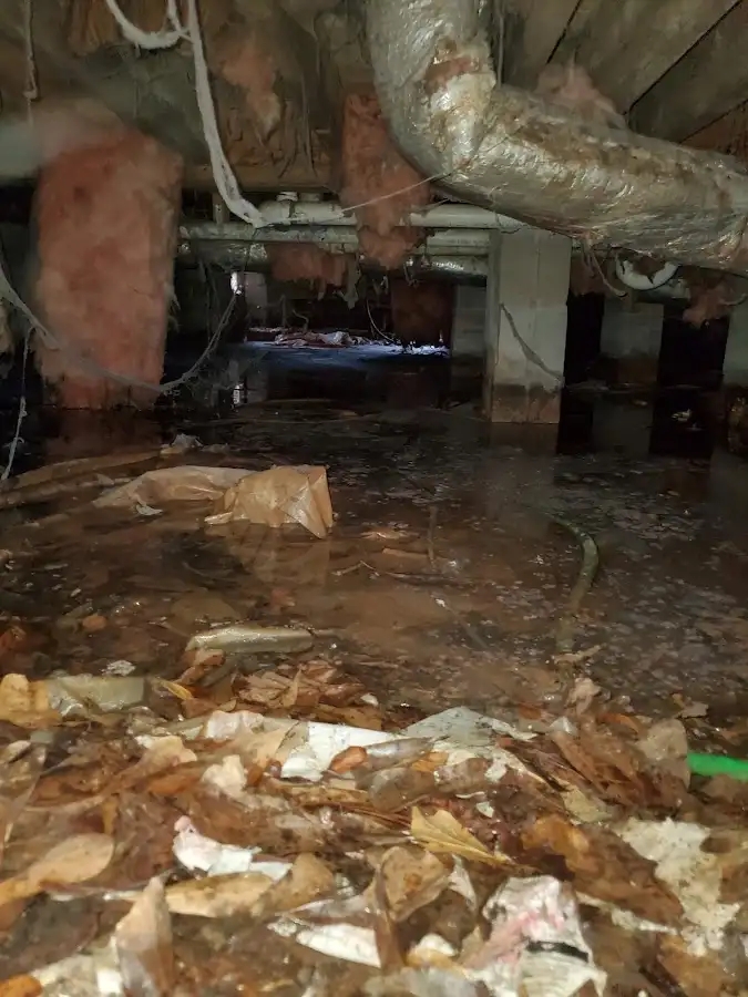 Crawl space flood assessment for Commercial Water Damage Restoration in Lake in the Hills